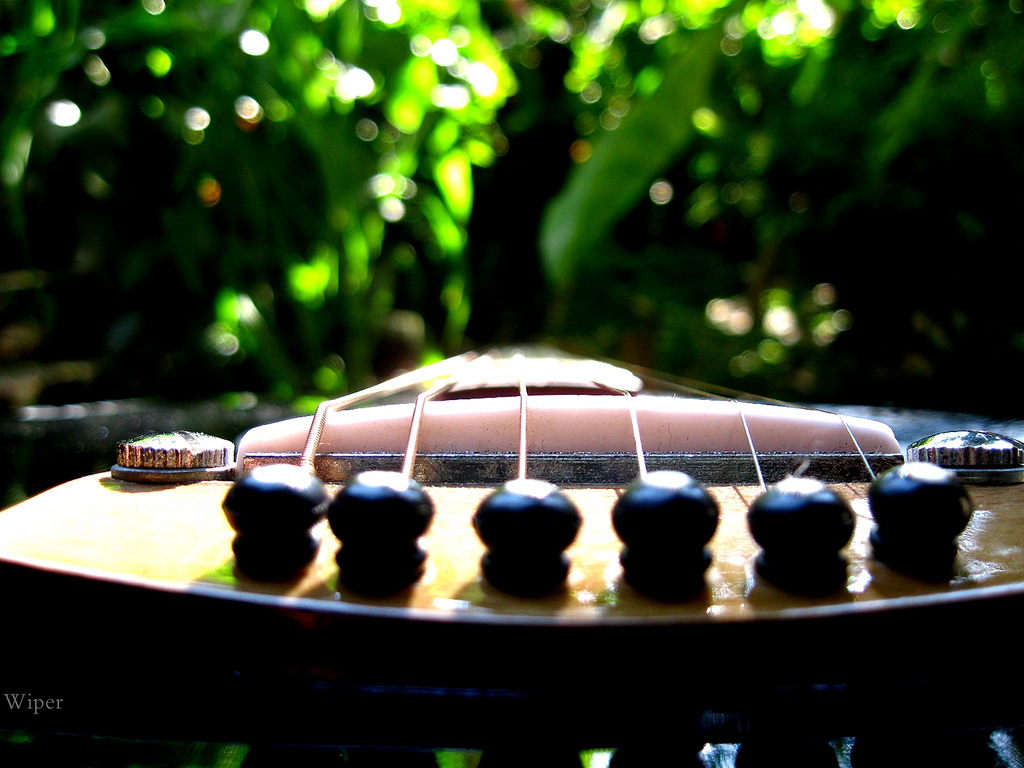 Guitar and green