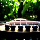 Guitar and green