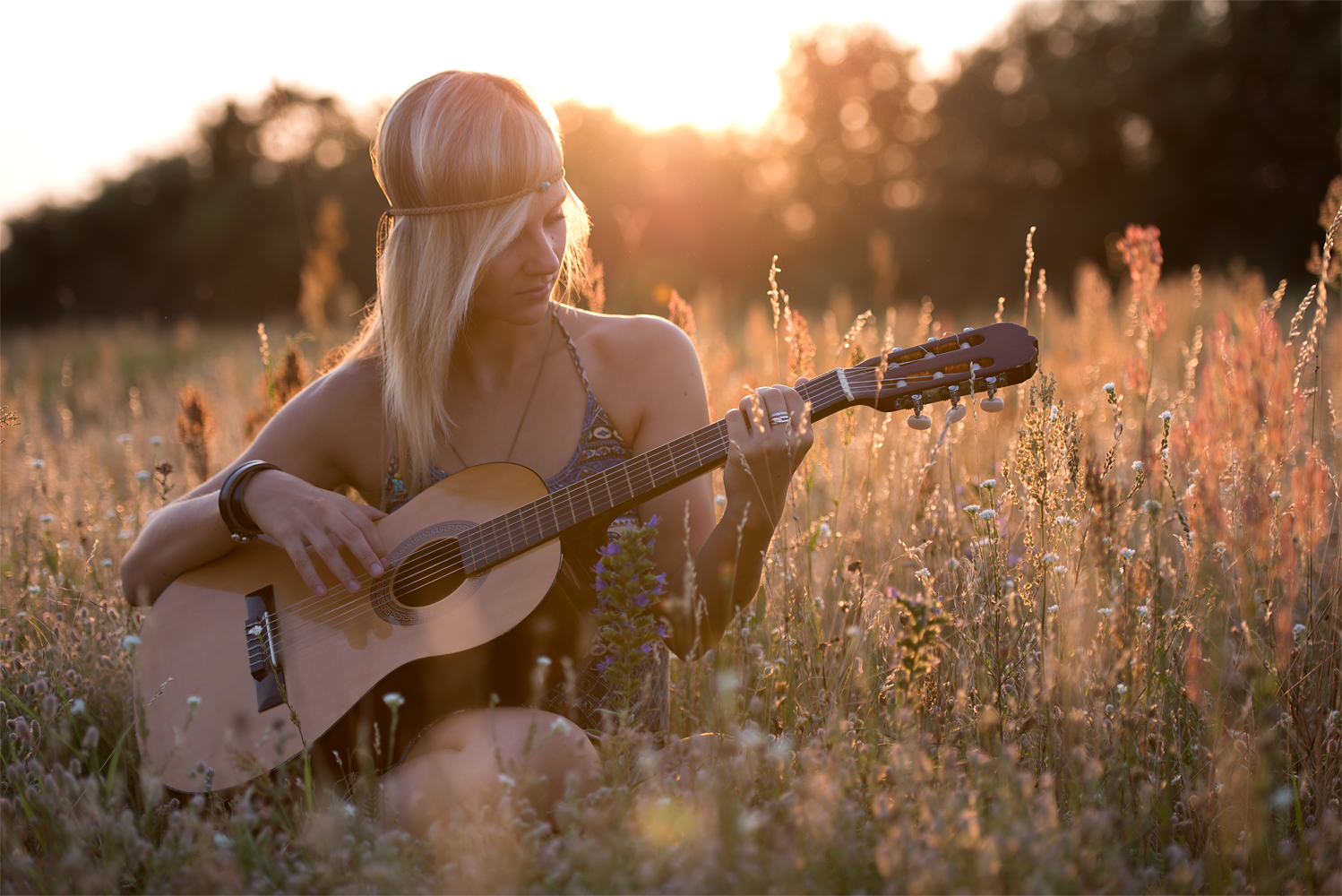 Guitar