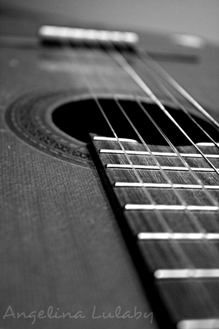 Guitar in Black & White