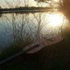 Guitar In The Sunset