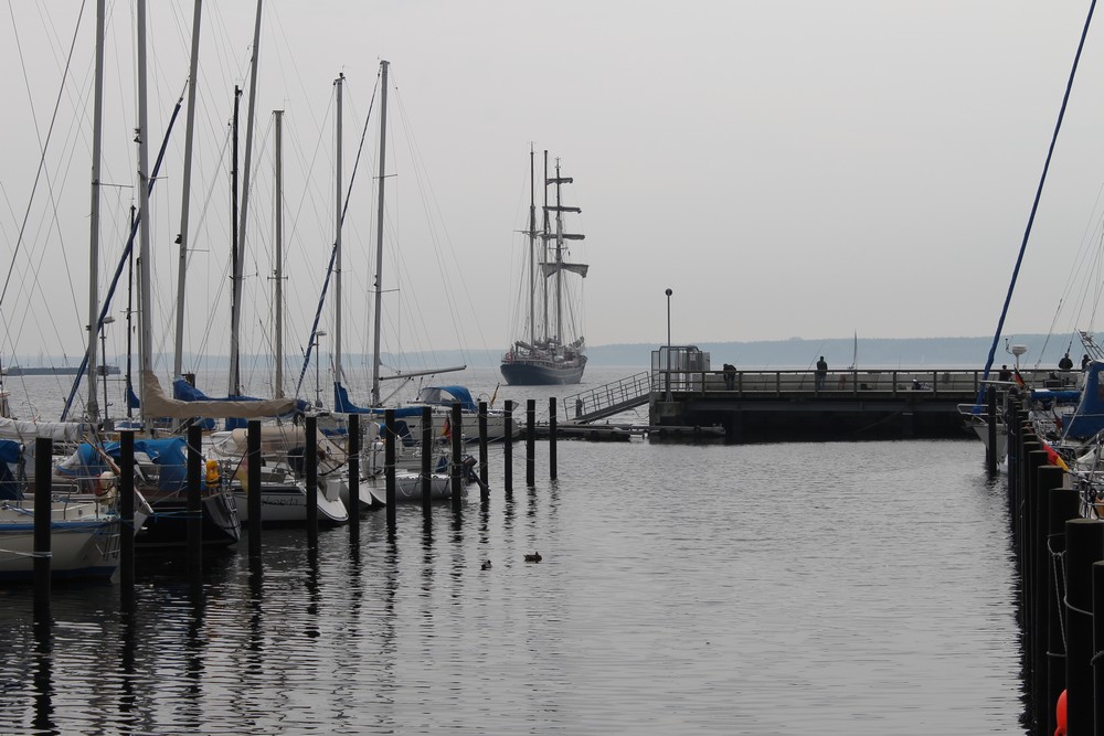 Gulden Leeuw- 20.05.2012 beim auslaufen aus Eckernförde