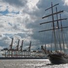 GULDEN LEEUW bei der SAIL 2010