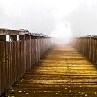 Guldene Brücke und der Morgennebel