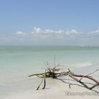 Gulf Coast of Florida -Ft. Desoto Beach in May 2010