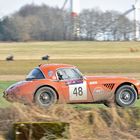 GULF Healey 