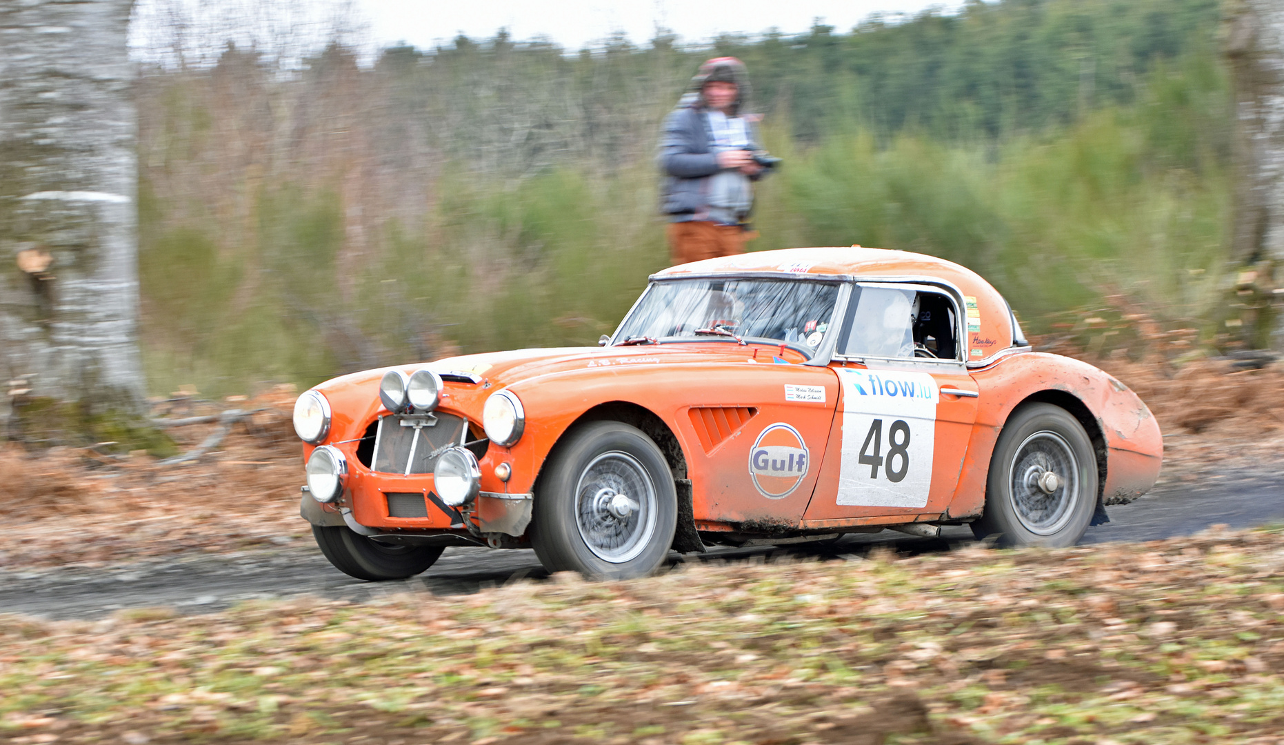 GULF-Healey Part II