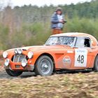 GULF-Healey Part II