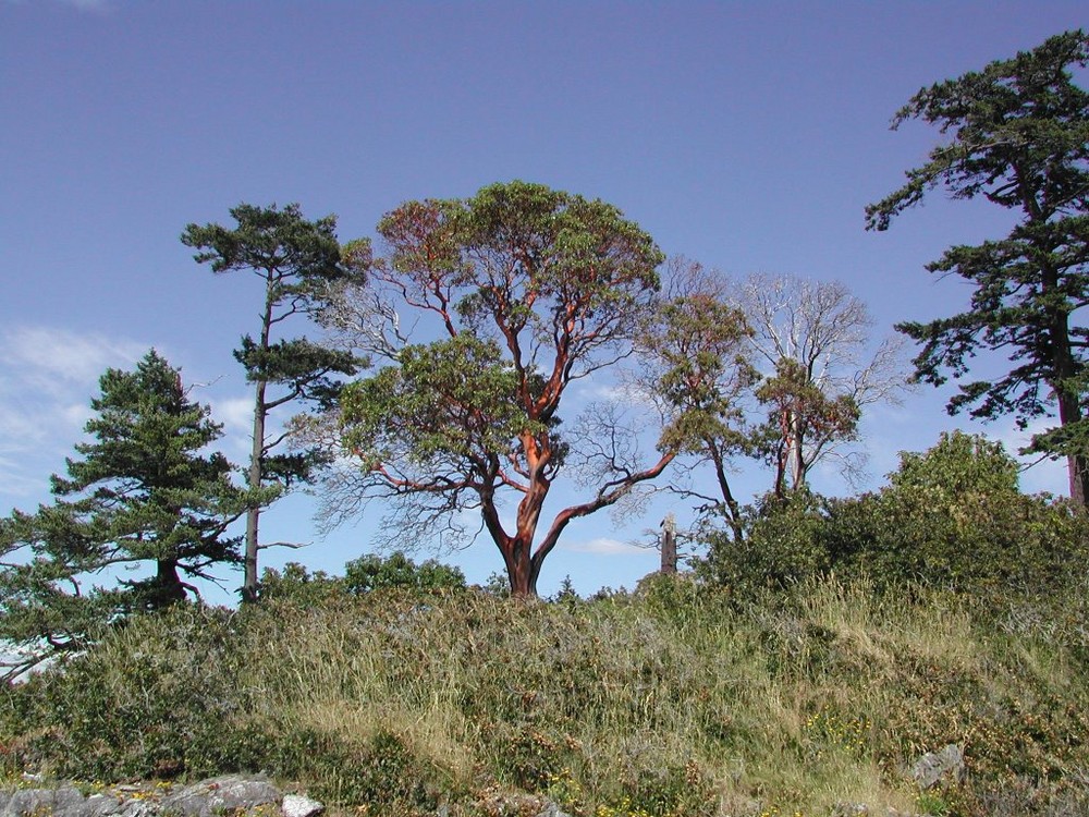 Gulf Islands, BC, CA