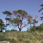 Gulf Islands, BC, CA