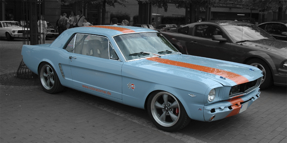 Gulf Mustang