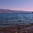 gulf of Aqaba