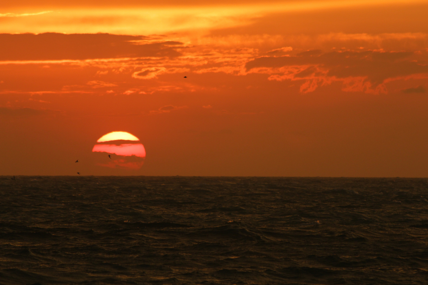 Gulf of Mexico