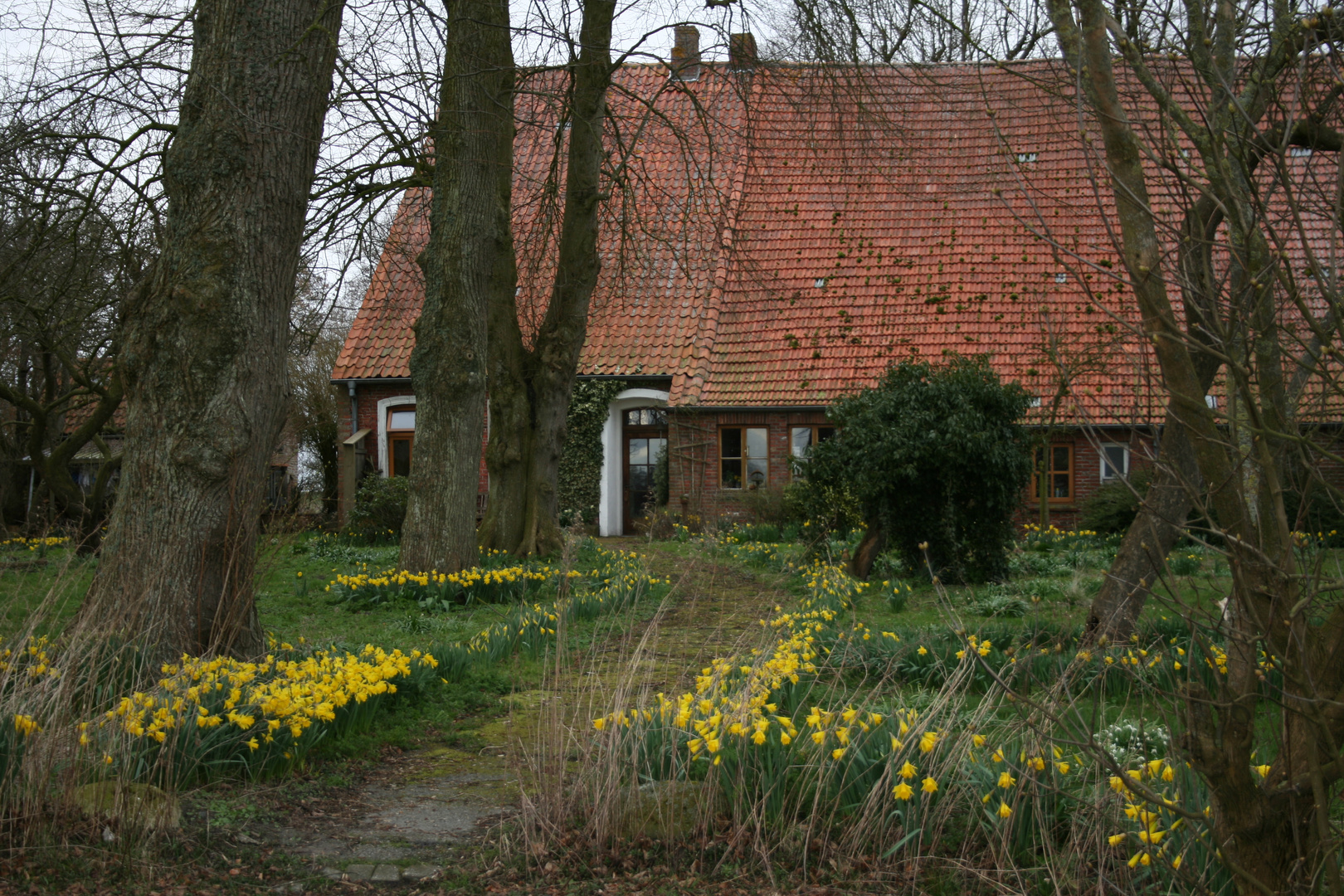 Gulfhof im Frühling