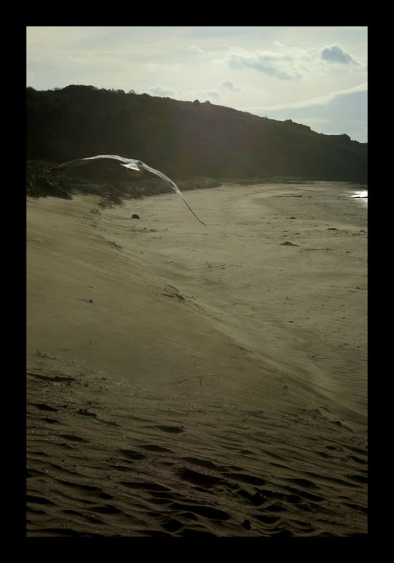 Gullane Bay