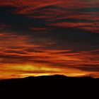 Gulls In Sunset