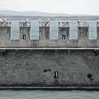 Gulls on Walls