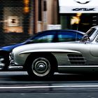 gullwing