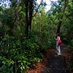 Gumbo Limbo Trail.........