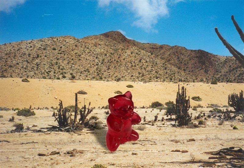 Gummibärchen in der Wüste