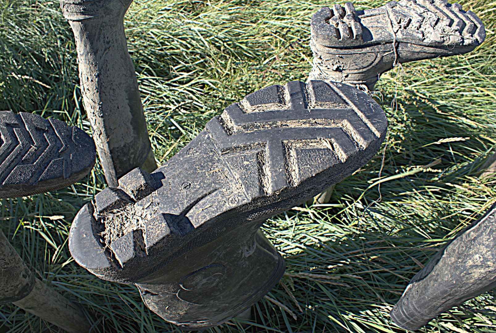 Gummistiefel der Campbewohner /innen zum Trocknen „aufgespießt“ [Hallig "Norderoog"]