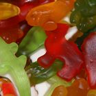 Gummizoo