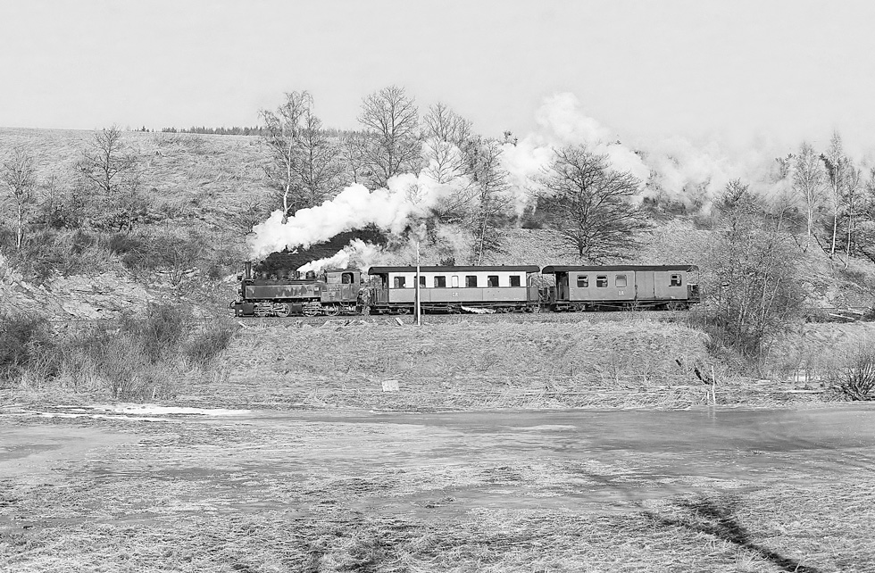 Gummizug im Harz