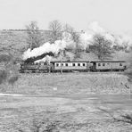 Gummizug im Harz