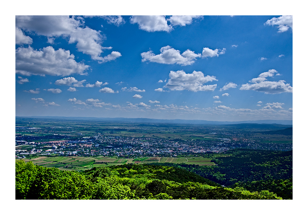 Gumpoldskirchen vom Anninger aus