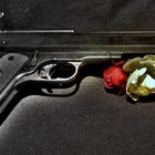 Gun N´ Roses