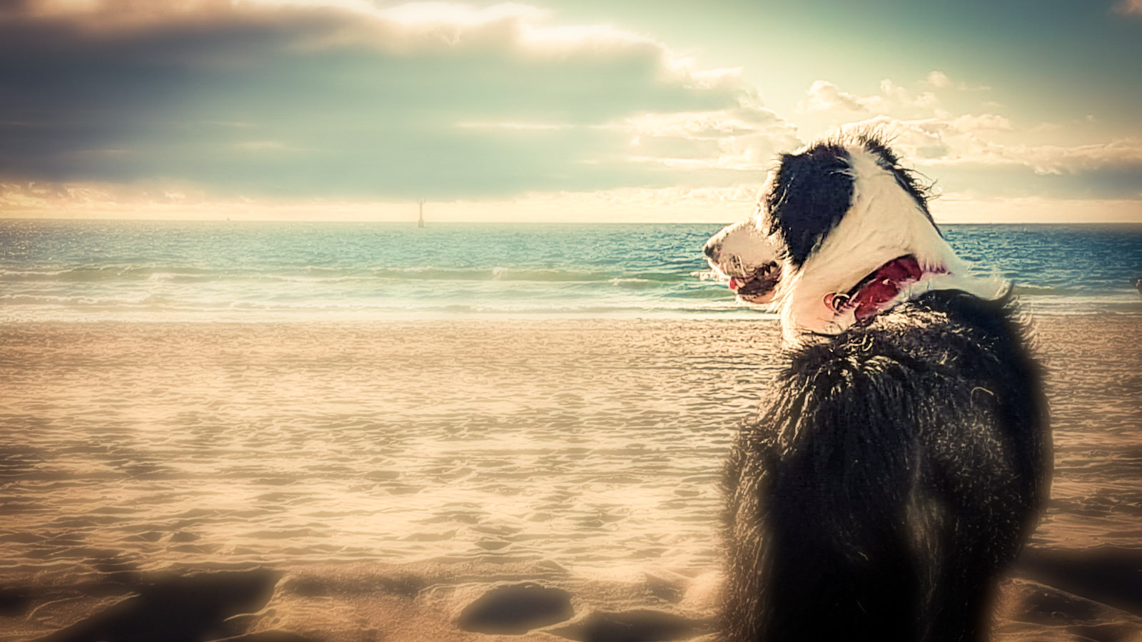 Gund am Strand 