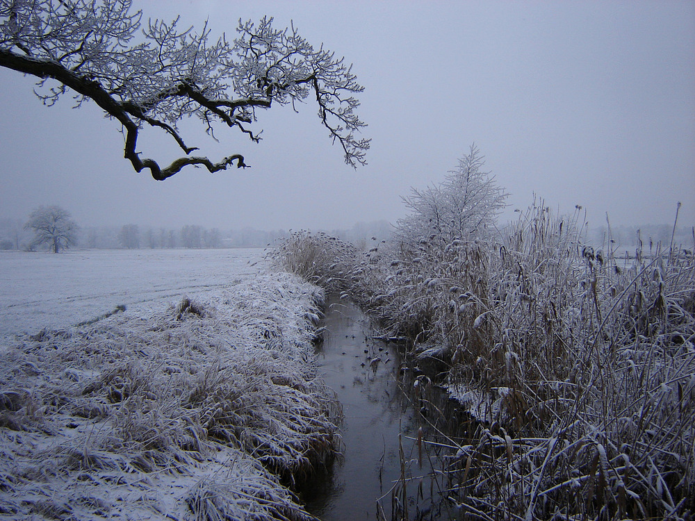 Gundbach und Kraftbaum