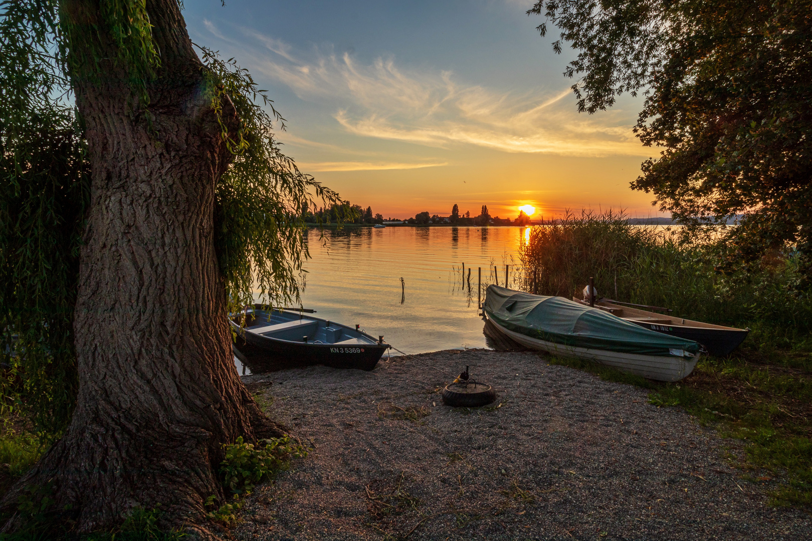 Gundeln im Abendlicht 