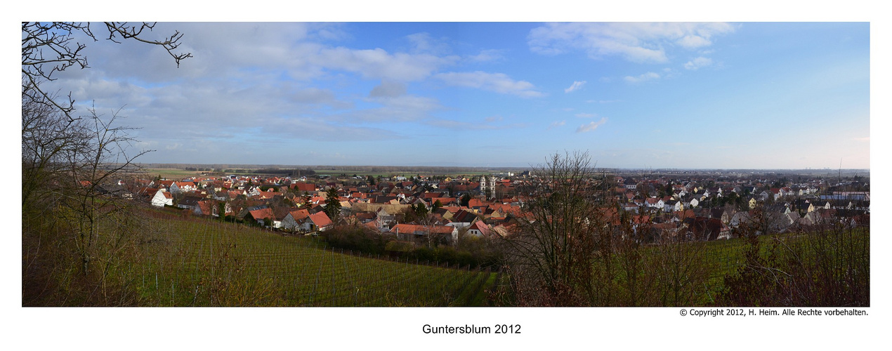 Guntersblum Panorama