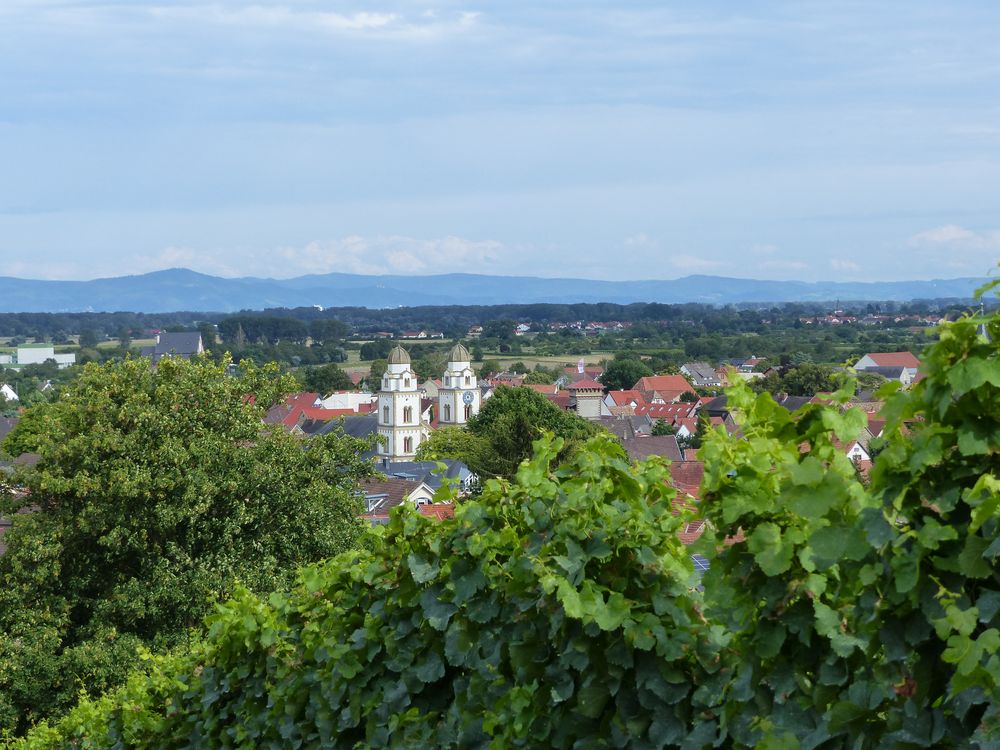 Guntersblum (Rheinhessen)