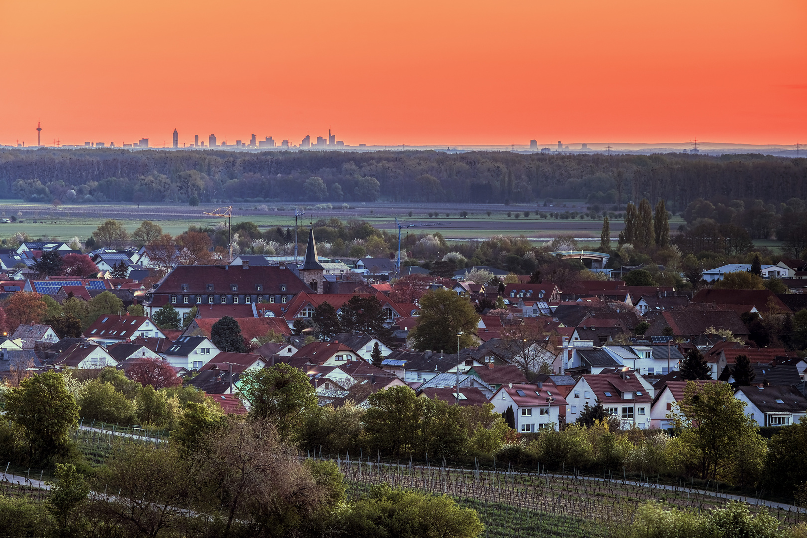 Guntersblum - Skyline von Frankfurt am Main