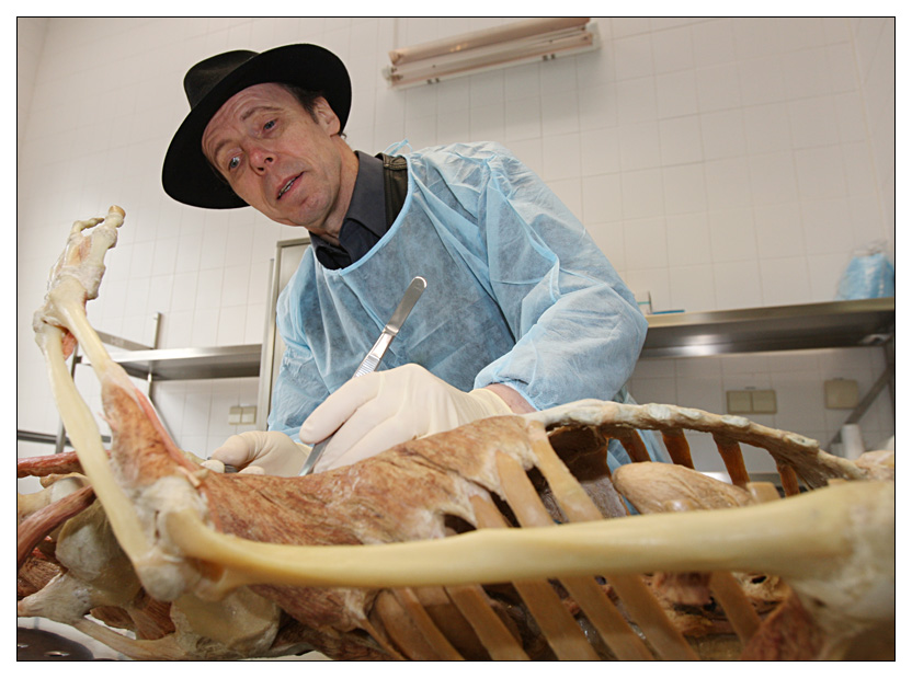 Gunther von Hagens