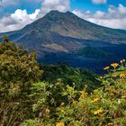Gunung Batur panorama view