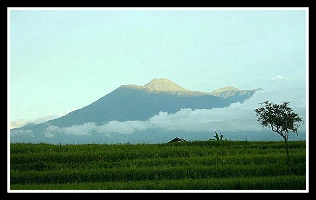 Gunung Gede