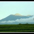 Gunung Gede