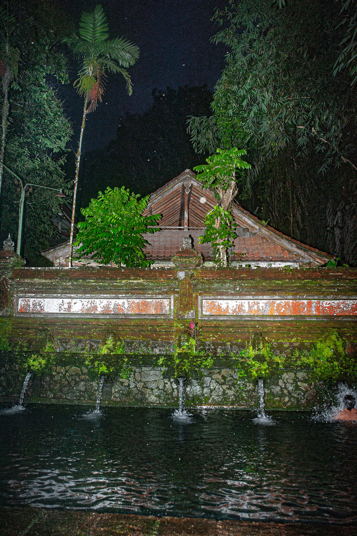 Gunung Kawi Sebatu holy springs