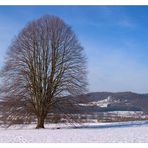 Gunzendorfer Linde im Winter