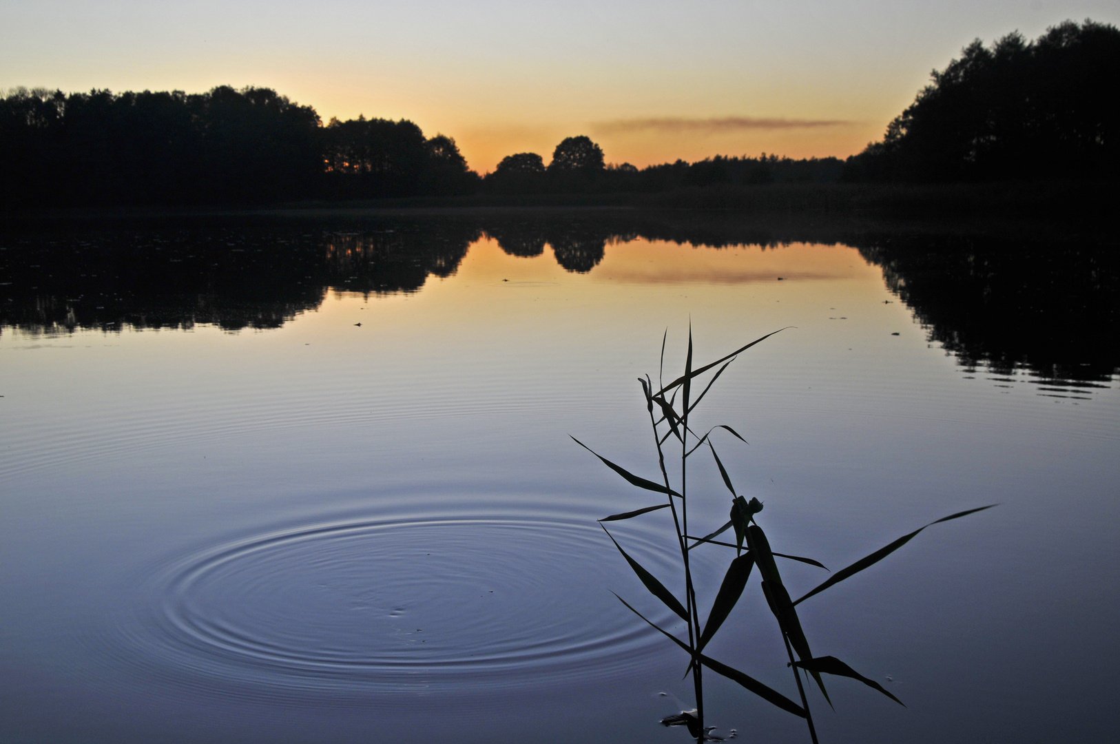 Gurgelnd dräut es die Luft an die Wasseroberfläche um kreiselnd den Sonnenuntergang zu bereichern