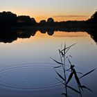 Gurgelnd dräut es die Luft an die Wasseroberfläche um kreiselnd den Sonnenuntergang zu bereichern