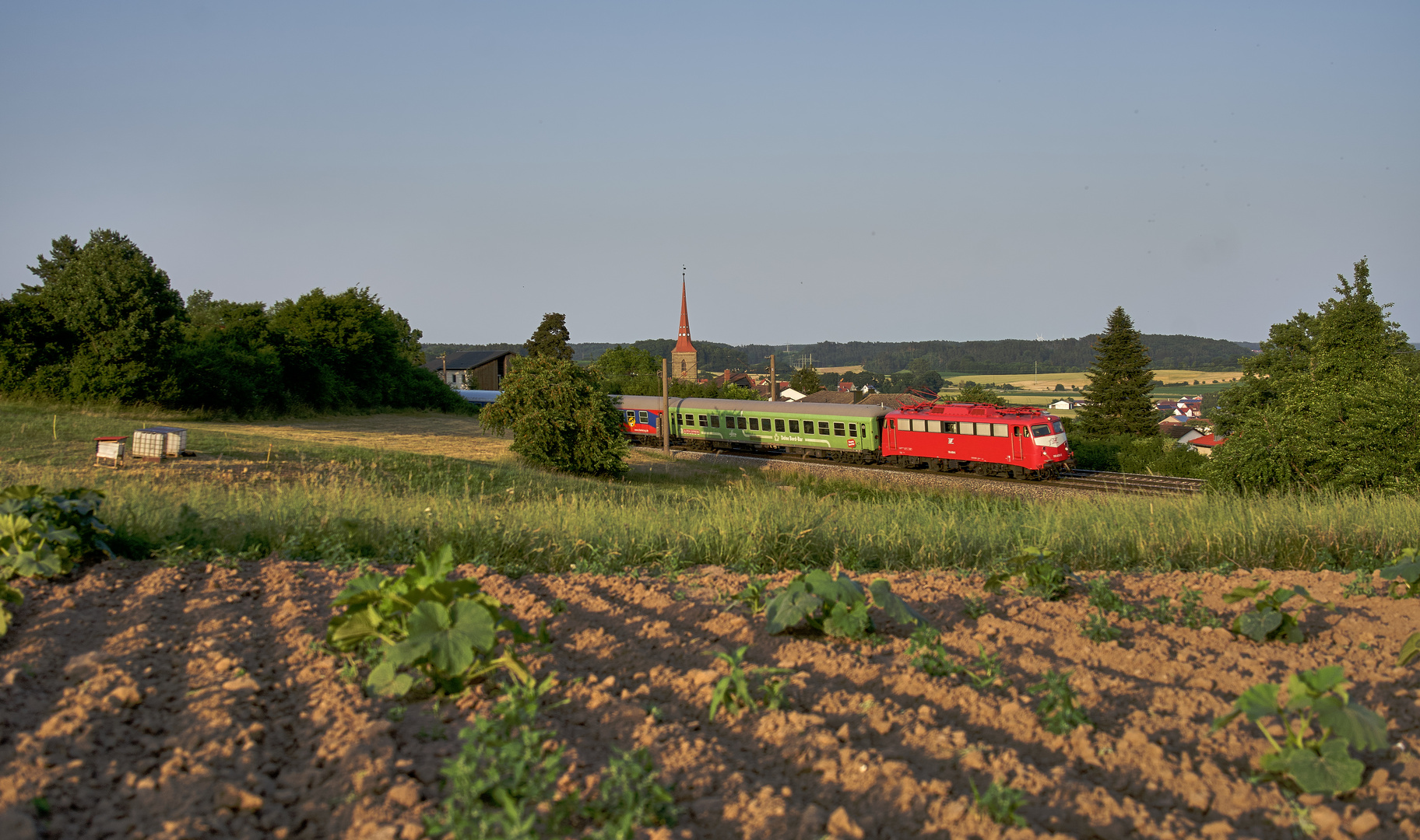 Gurken oder Zucchini?