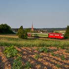 Gurken oder Zucchini?