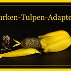 Gurken-Tulpen-Adapter