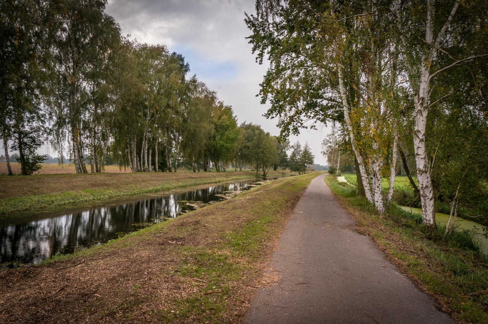 Gurkenradweg I - Spreewald