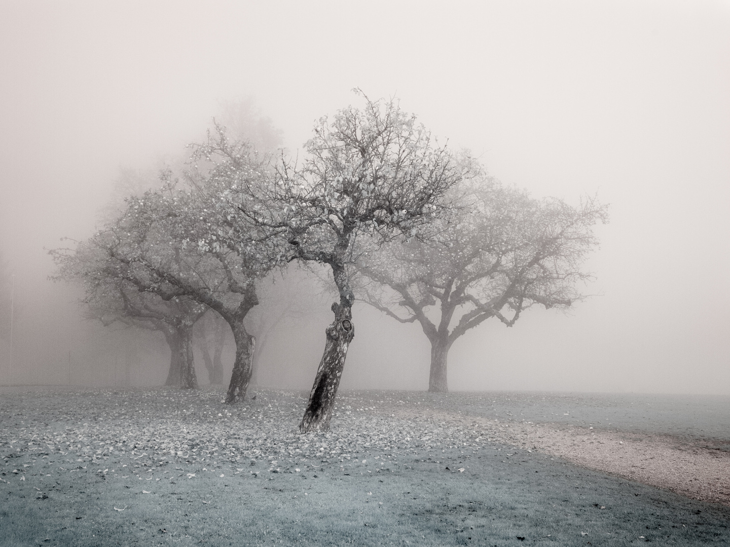 Gurten im Nebel