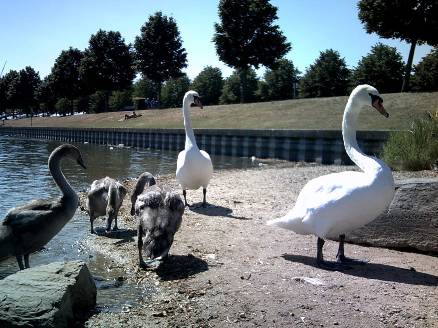 Gustav und Familie